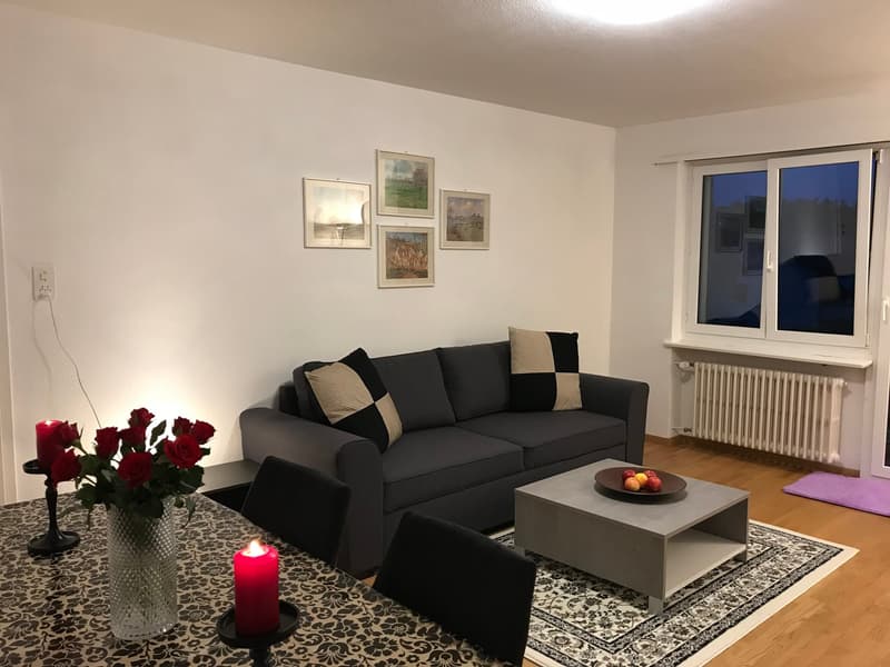 Expats -6.5 fully furnished business apartment @8152 Opfikon, Glattbrugg (1)