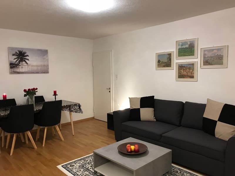 Expats -6.5 fully furnished business apartment @8152 Opfikon, Glattbrugg (2)