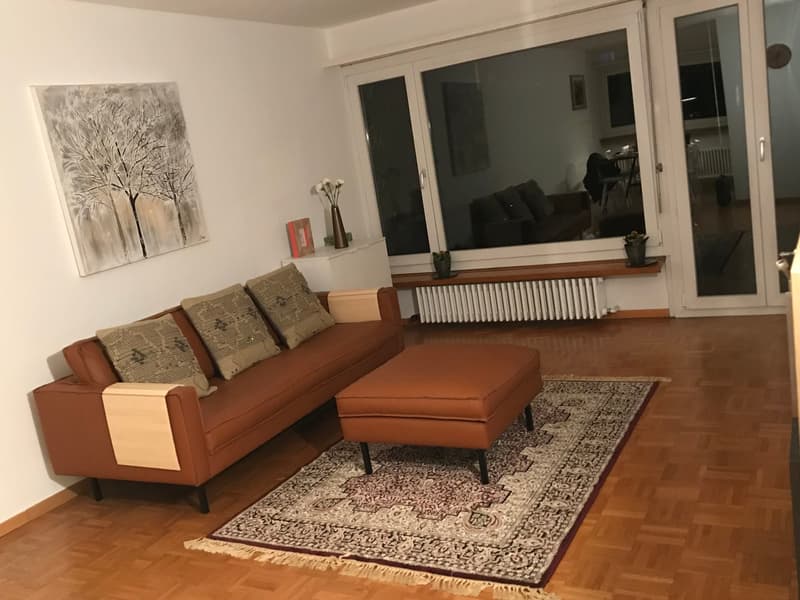 Expats -5.5 fully furnished business apartment @ 8304 Wallisellen Sharing/WG/Family (1)