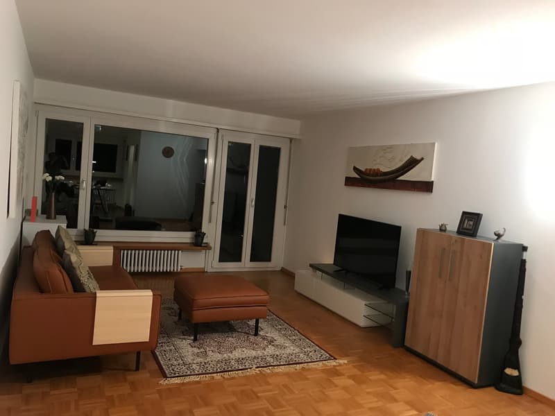 Expats -5.5 fully furnished business apartment @ 8304 Wallisellen Sharing/WG/Family (2)