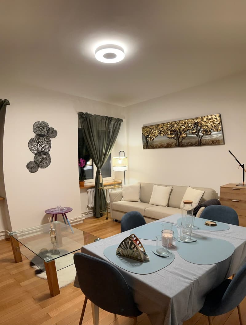 Expats - 4.5Zi Furnished Business Apartment @ 4058 Basel (1)