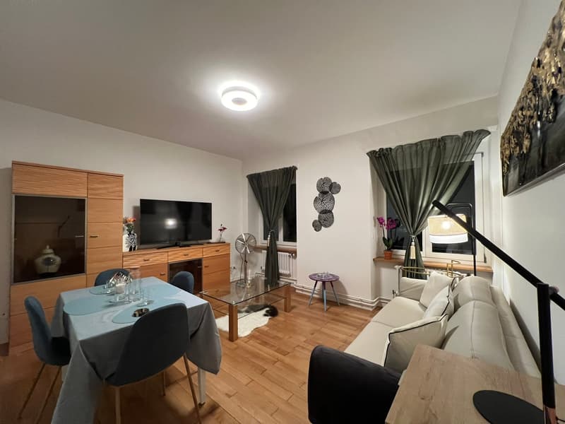 Expats - 4.5Zi Furnished Business Apartment @ 4058 Basel (2)