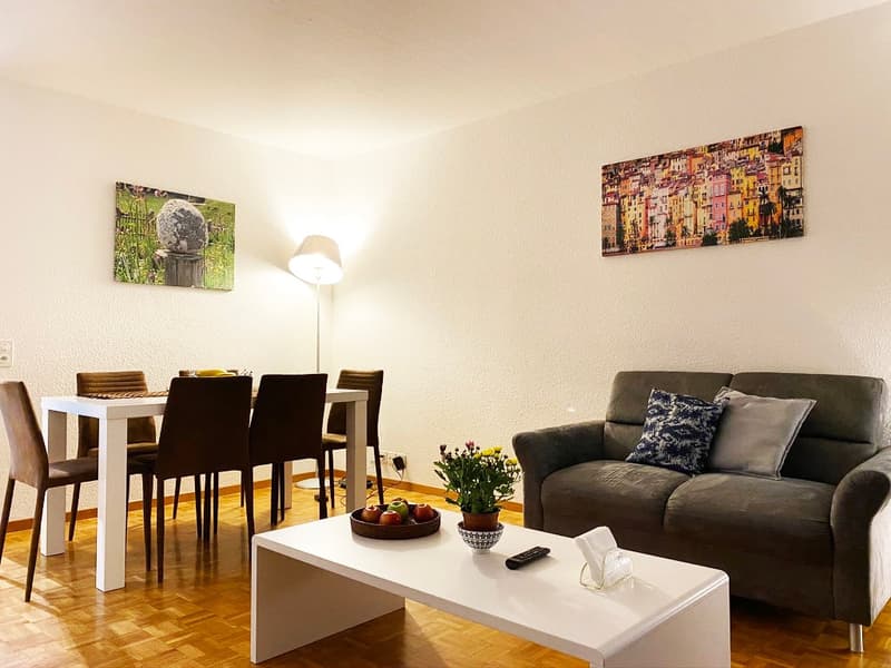 " Expats -2.5 fully furnished business apartment @ 8152 opfikon, Glattbrugg" (1)