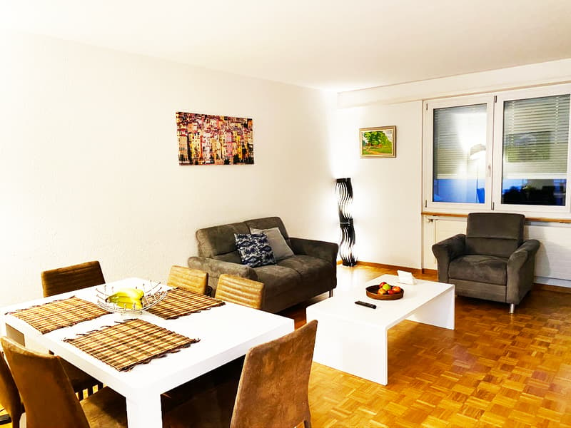 " Expats -2.5 fully furnished business apartment @ 8152 opfikon, Glattbrugg" (2)