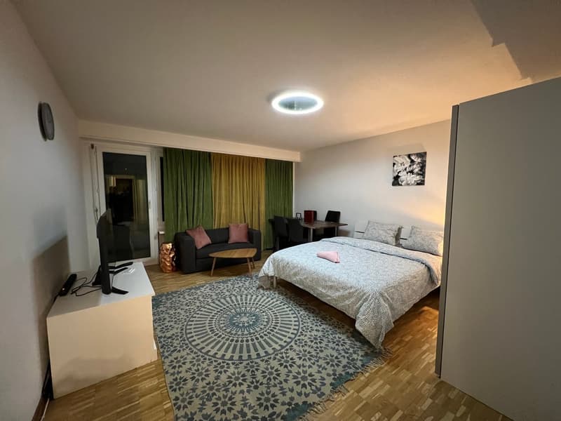 For Expats - 3.5 Room Fully-Furnished Apartment at 8600 Dübendorf (1)