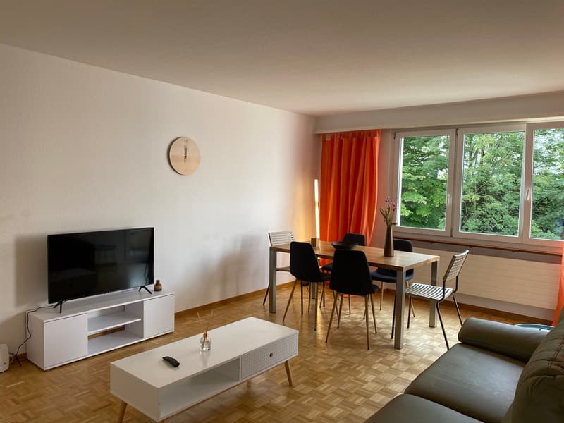 Expats -4.5 fully furnished business apartment @ 8152 opfikon, Glattbrugg (1)