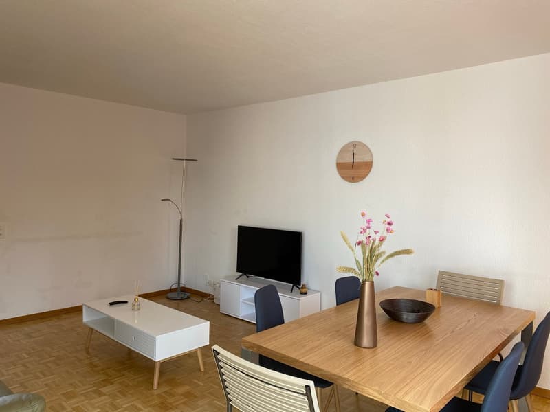 Expats -4.5 fully furnished business apartment @ 8152 opfikon, Glattbrugg (2)