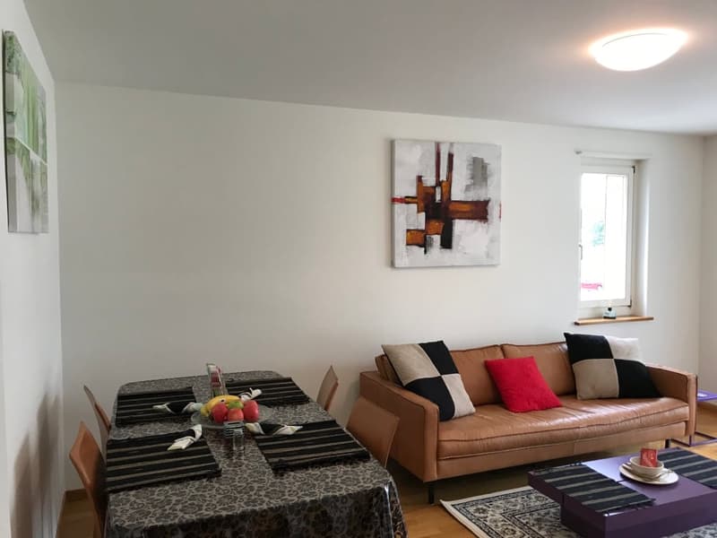 Expats - Elegant 2.5 rooms fully furnished business apartment @ Zürich - Zone 10 (1)