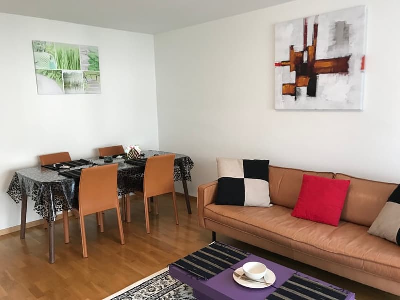 Expats - Elegant 2.5 rooms fully furnished business apartment @ Zürich - Zone 10 (2)