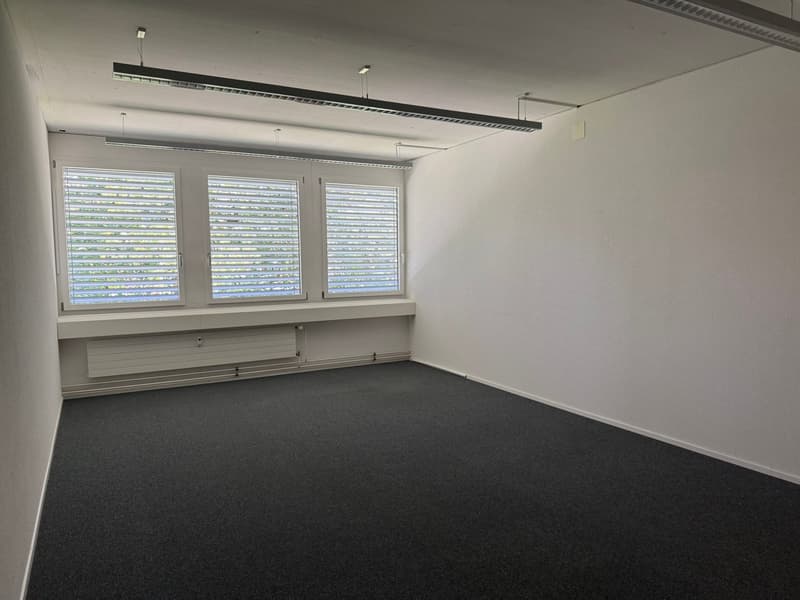 🏢 Spazio di coworking moderno | CHF 699/mese | Chamerstrasse 176 Zug | Disponibile ora (17)