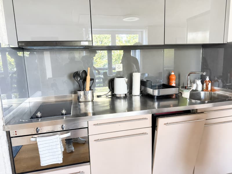 🌟 Appartamento arredato 2.5 locali –| Melchrütistrasse 14, 8304 Wallisellen, Svizzera (13)