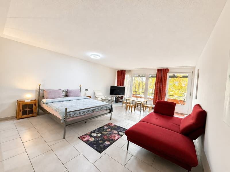 🌿 Helles Modernes Studio mit Balkon & Gartenzugang | Minuten von Zürich HB (1)