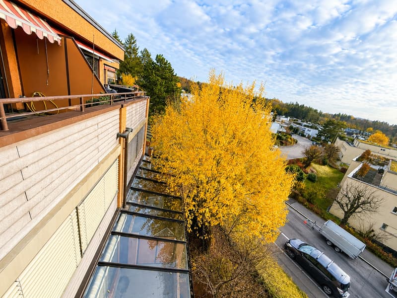 🌿 Helles Modernes Studio mit Balkon & Gartenzugang | Minuten von Zürich HB (17)