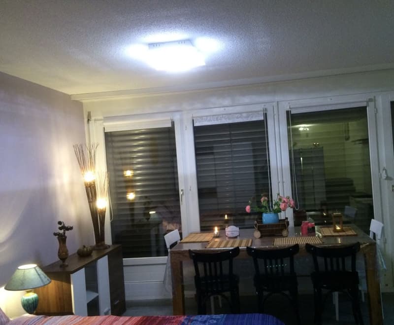 🏡✨ Willkommen in Ihrem perfekten Zuhause fern von Zuhause in Birmensdorf ZH (10)