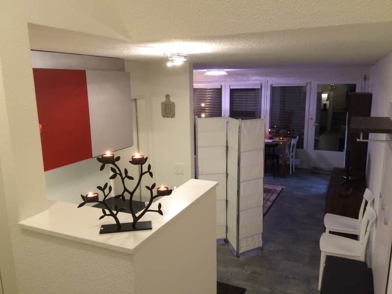 🏡✨ Willkommen in Ihrem perfekten Zuhause fern von Zuhause in Birmensdorf ZH (6)