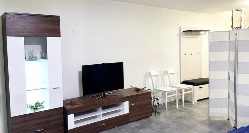 🏡✨ Benvenuti nella vostra casa perfetta lontano da casa a Birmensdorf ZH (3)