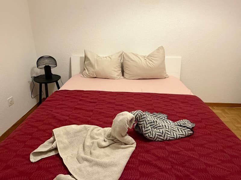 🏡 Premium Vollständig Eingerichtetes 3.5-Zimmer Corporate Apartment mit Balkon | Zürich Wiedikon (6)