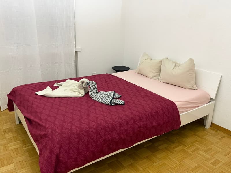 🏡 Premium Vollständig Eingerichtetes 3.5-Zimmer Corporate Apartment mit Balkon | Zürich Wiedikon (7)