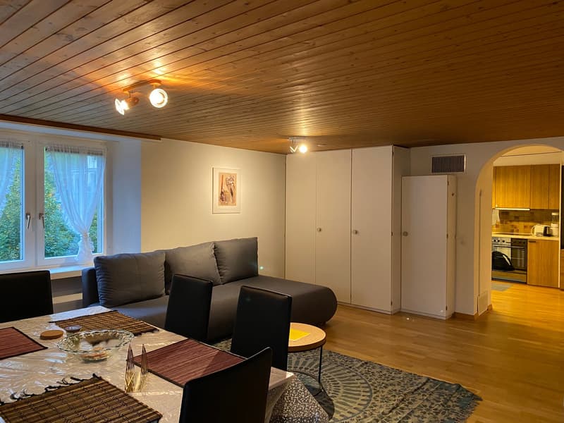 🌟 Schönes 2.5-Zimmer-Apartment in Langnau am Albis (2)