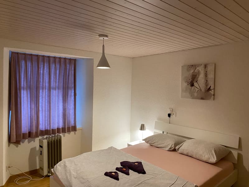 🌟 Schönes 2.5-Zimmer-Apartment in Langnau am Albis (4)