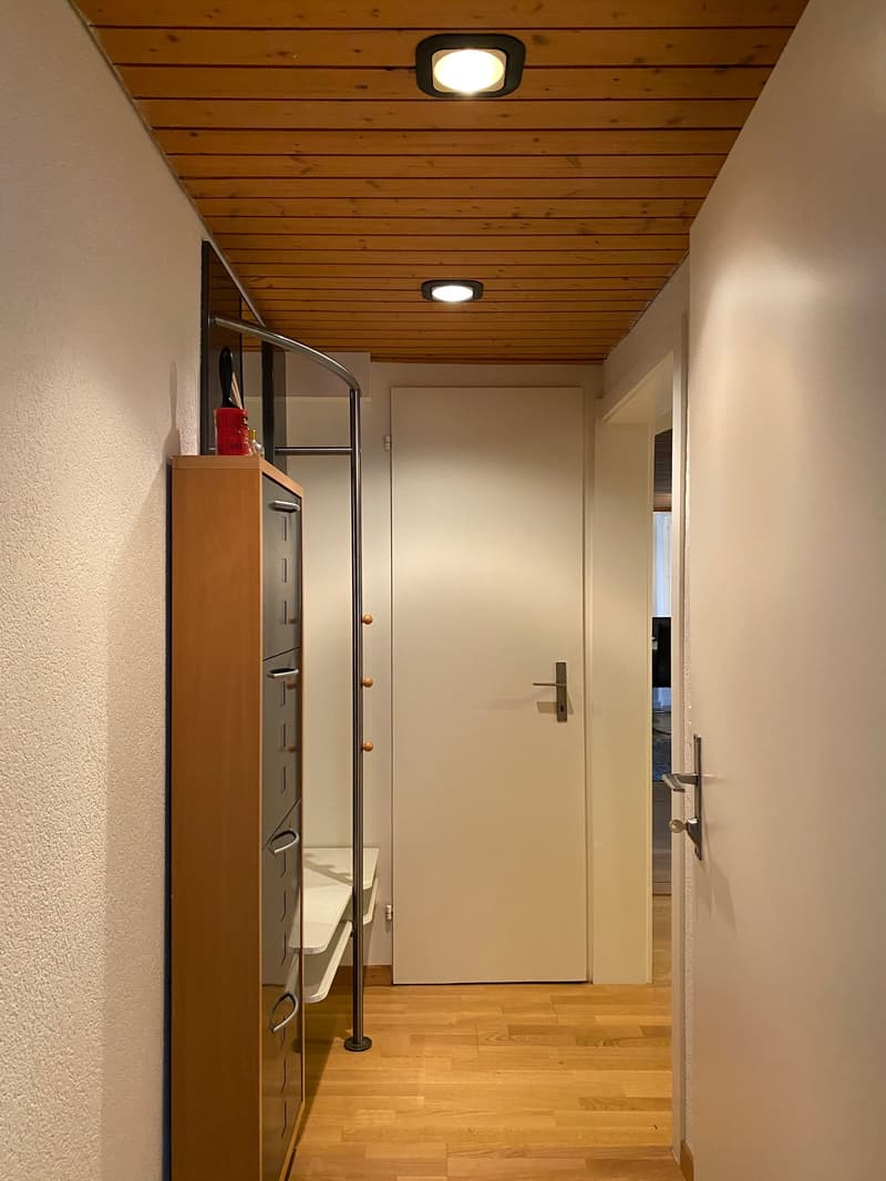 🌟 Beautiful 2.5-Room Apartment in Langnau am Albis (7)
