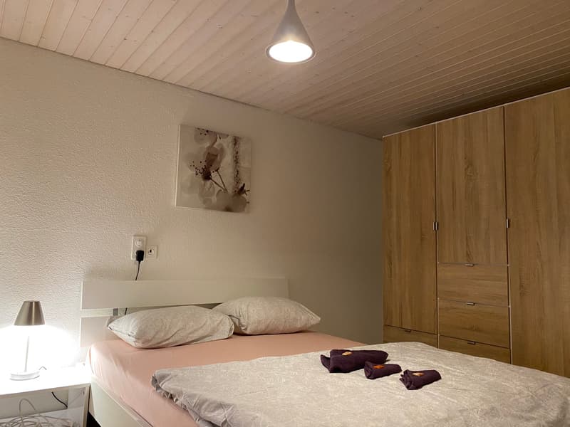 🌟 Beautiful 2.5-Room Apartment in Langnau am Albis (5)