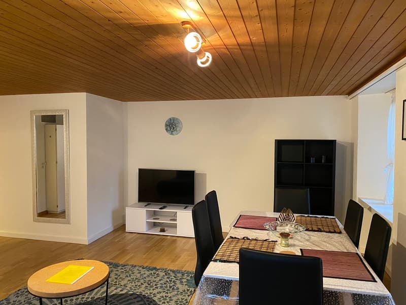 🌟 Beautiful 2.5-Room Apartment in Langnau am Albis (3)