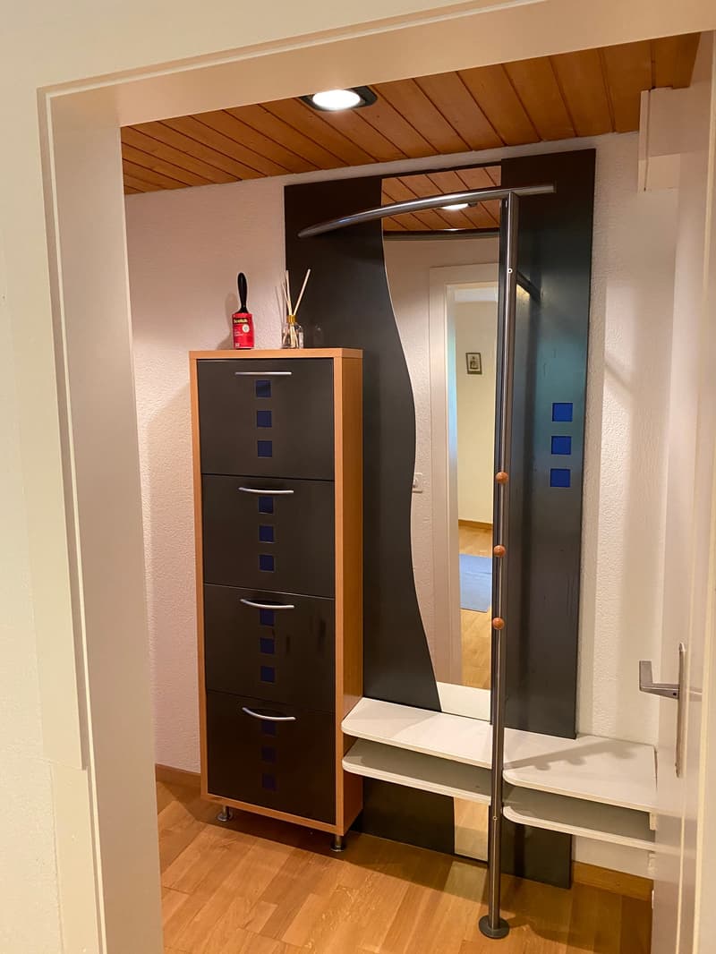🌟 Beautiful 2.5-Room Apartment in Langnau am Albis (8)