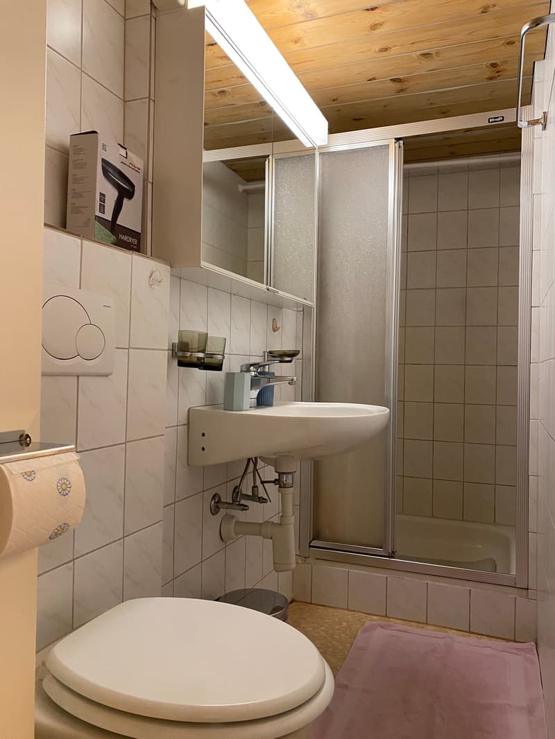 🌟 Beautiful 2.5-Room Apartment in Langnau am Albis (11)