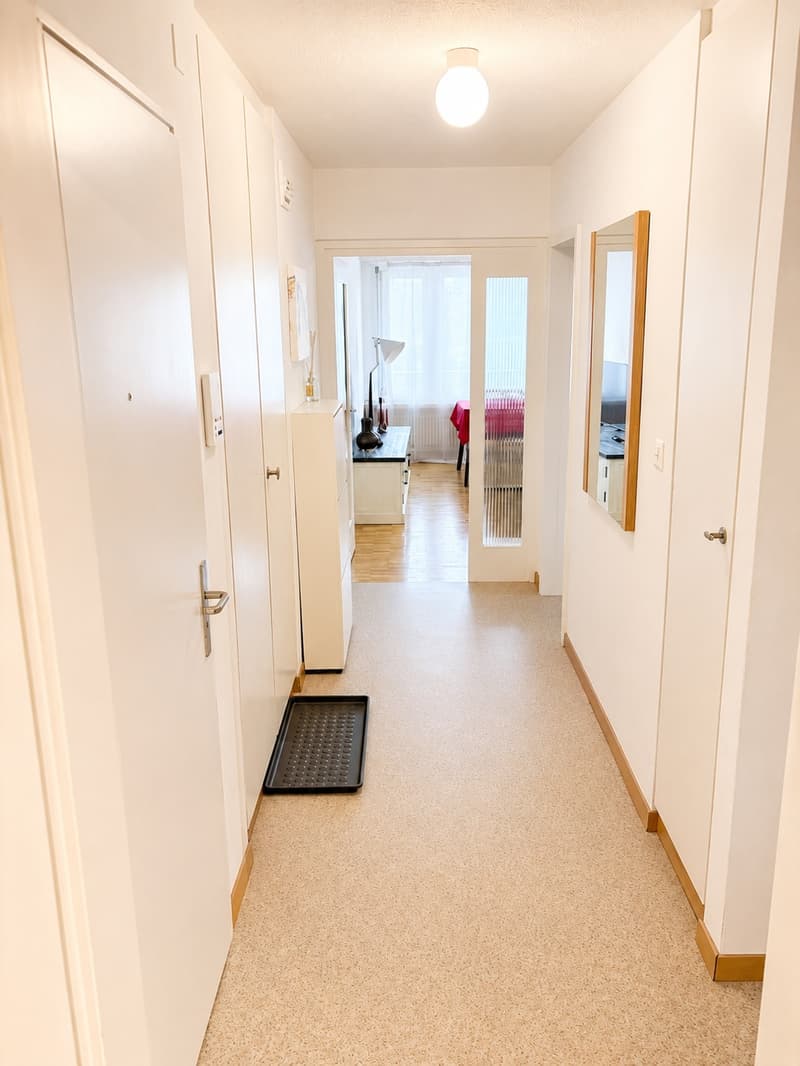 Appartamento di 2,5 locali completamente arredato a Dübendorf – Zona 121 (4)