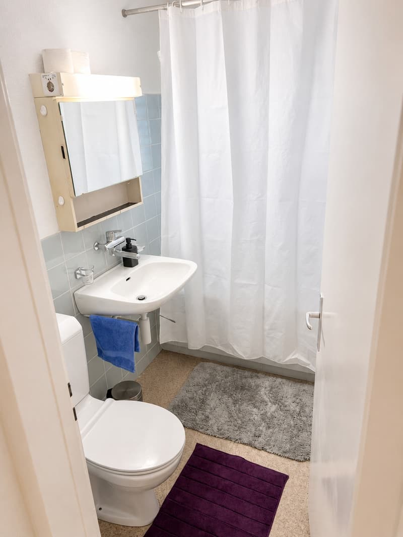 Appartamento di 2,5 locali completamente arredato a Dübendorf – Zona 121 (6)