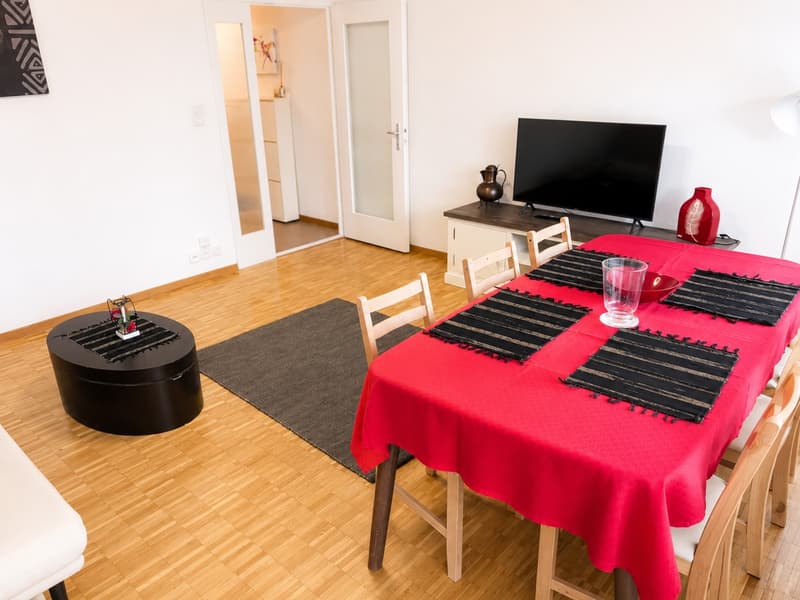 Appartamento di 2,5 locali completamente arredato a Dübendorf – Zona 121 (3)