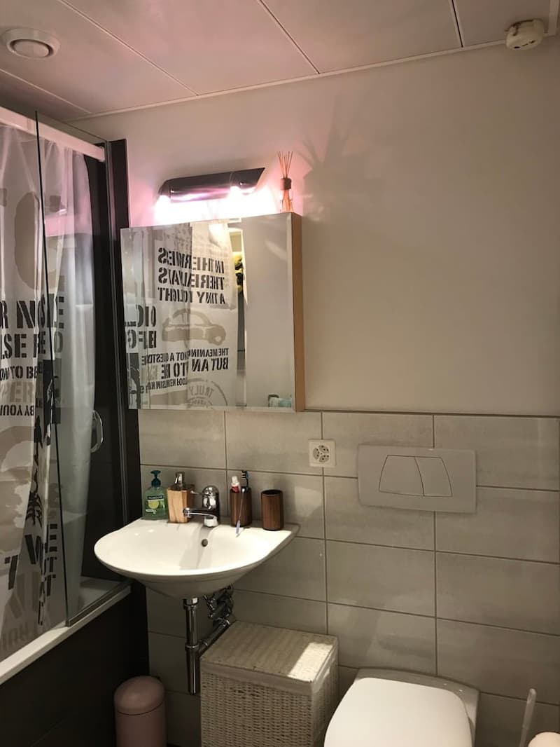 🏡✨ Appartement de 2 à 5 pièces entièrement meublé à louer à Wallisellen (Melchrütistrasse 14) (9)