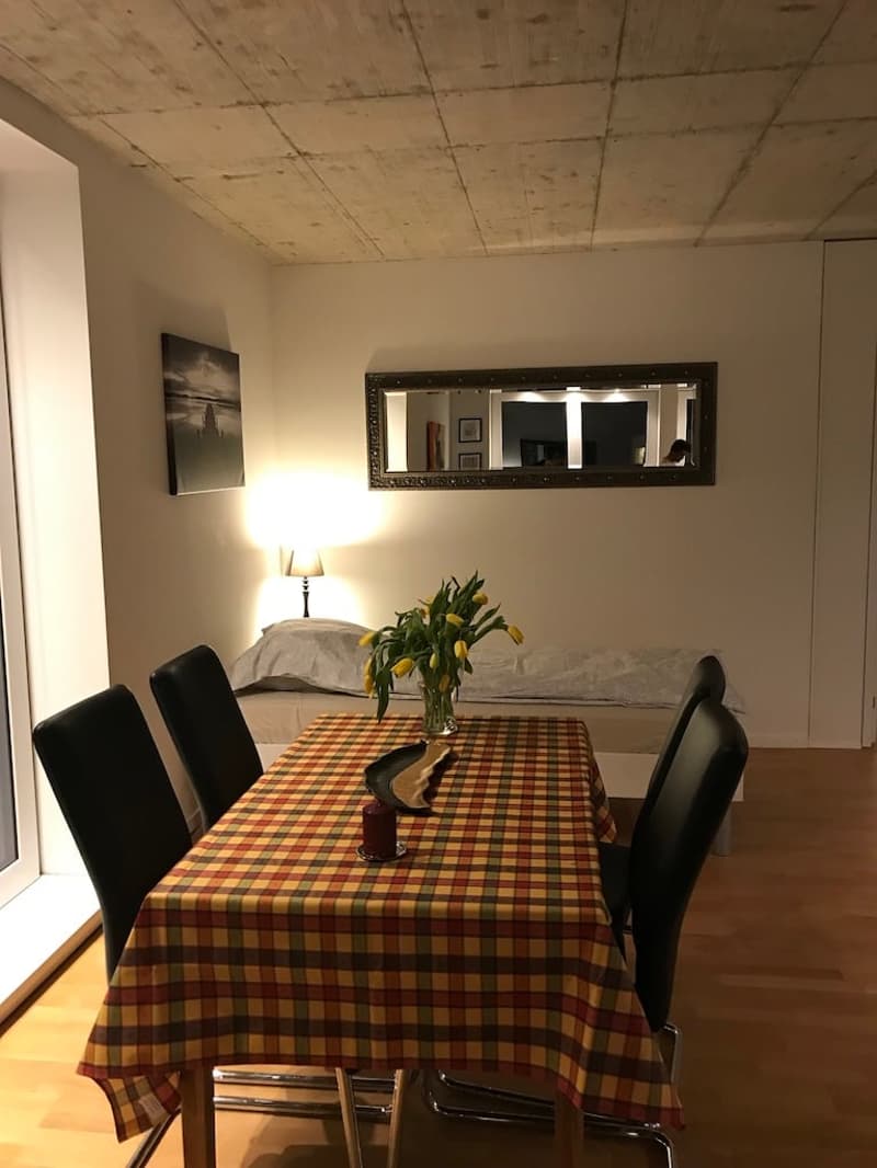 🏡✨ Appartement de 2 à 5 pièces entièrement meublé à louer à Wallisellen (Melchrütistrasse 14) (8)