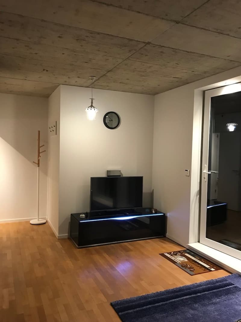🏡✨ Appartement de 2 à 5 pièces entièrement meublé à louer à Wallisellen (Melchrütistrasse 14) (2)