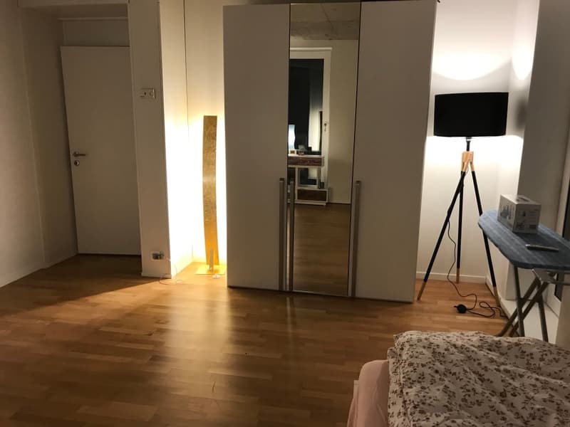 🏡✨ Appartement de 2 à 5 pièces entièrement meublé à louer à Wallisellen (Melchrütistrasse 14) (5)