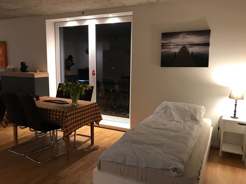 🏡✨ Appartement de 2 à 5 pièces entièrement meublé à louer à Wallisellen (Melchrütistrasse 14) (4)