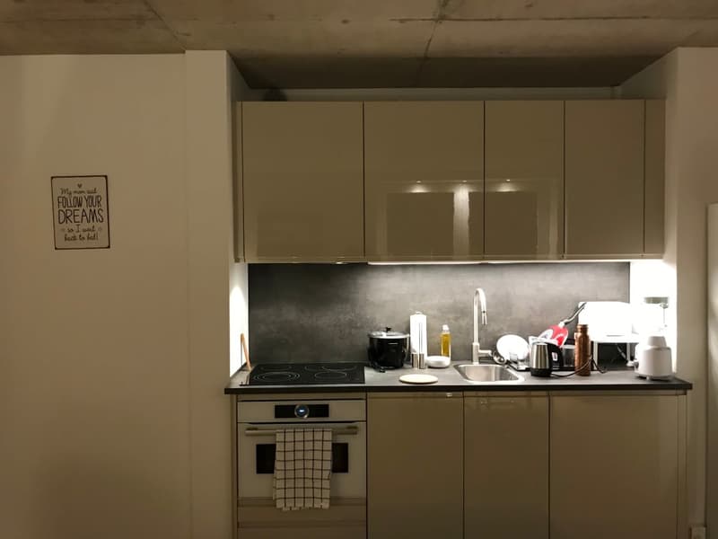 🏡✨ Appartamento di 2-5 locali completamente arredato in affitto a Wallisellen (Melchrütistrasse 14) (3)