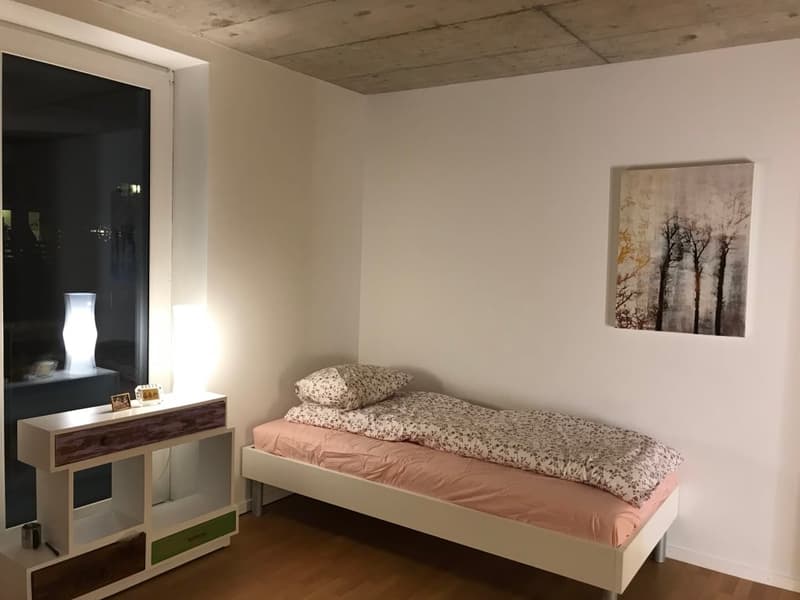 🏡✨ Appartamento di 2-5 locali completamente arredato in affitto a Wallisellen (Melchrütistrasse 14) (7)