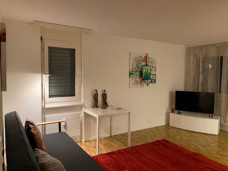 🌟 Appartamento spazioso e stylish di 2,5 locali con ascensore in posizione primaria Zona 10 🌟 (2)