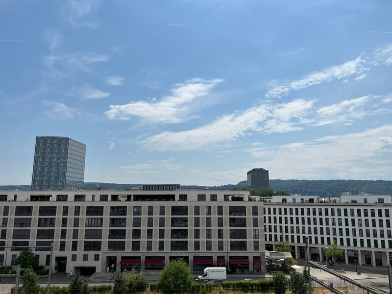 🏡 Premium Eingerichtete 2.5-Zimmer-Wohnung | Neugutstrasse 12, 8304 Wallisellen | 5. Stock (15)
