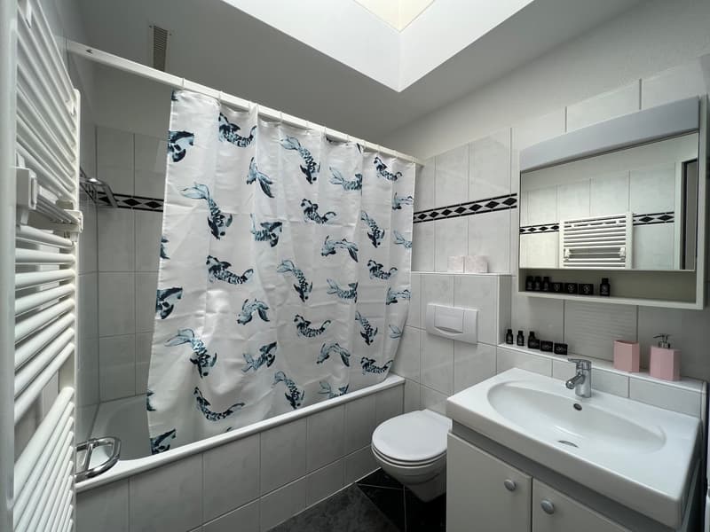 🏡 Premium Eingerichtete 2.5-Zimmer-Wohnung | Neugutstrasse 12, 8304 Wallisellen | 5. Stock (12)