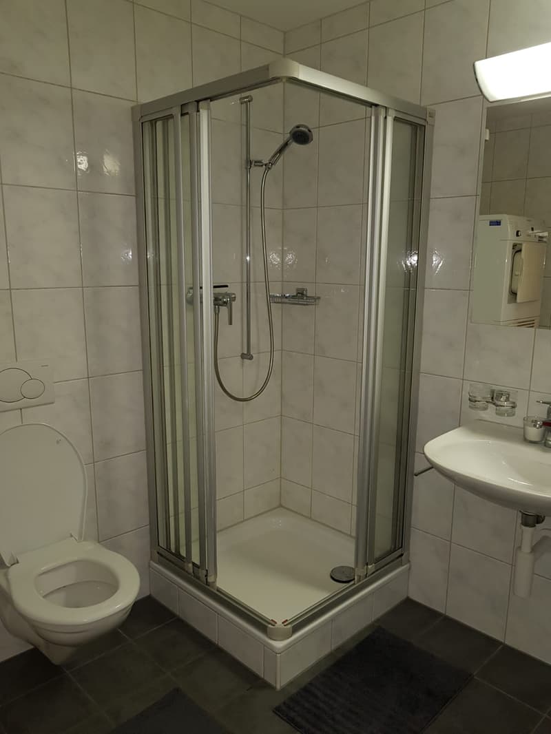 🏡 Premium Furnished 2.5-Room Apartment | Riehenring 143 | 4058 Basel | 3rd Floor (Right Side) (10)