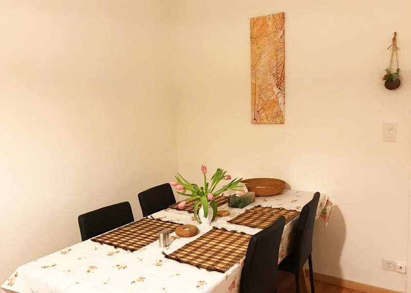 🏡 Premium Furnished 2.5-Room Apartment | Riehenring 143 | 4058 Basel | 3rd Floor (Right Side) (4)