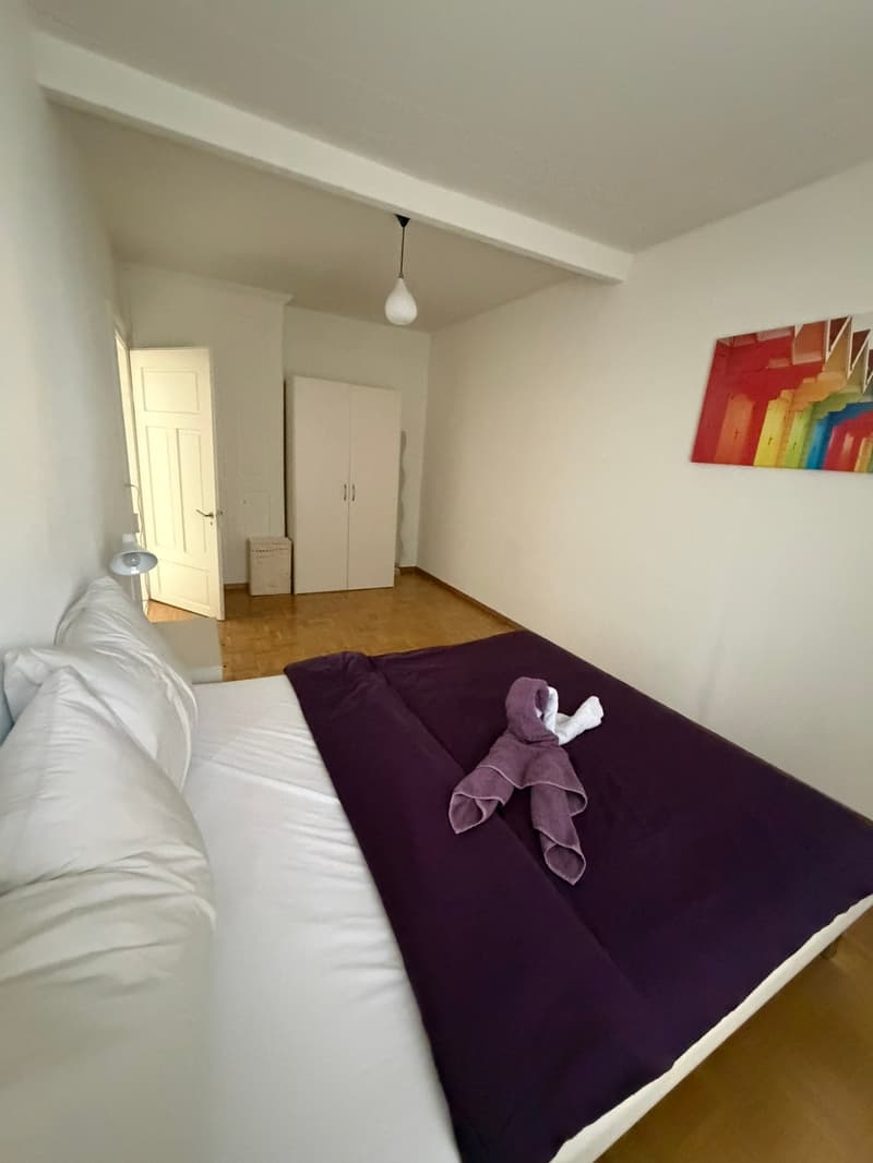🏡 Modern 3.5-Room Furnished Apartment in Zürich Altstetten (near Zürich-Binz) (10)
