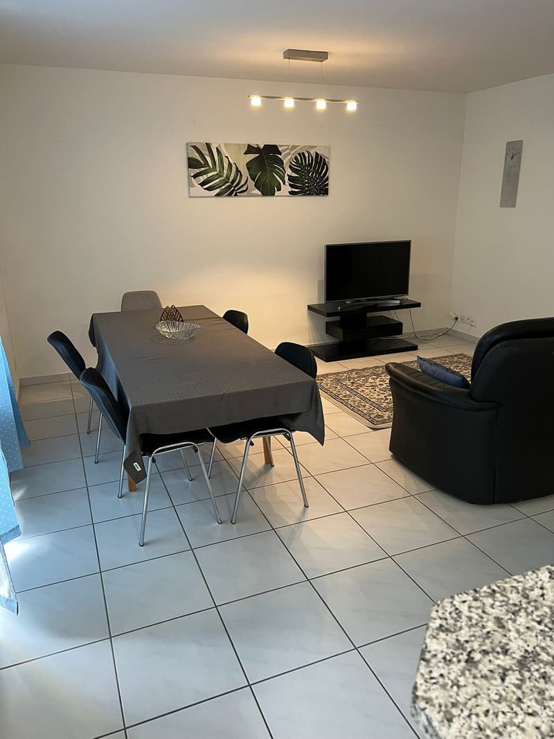 🏡 Modern 3.5-Room Furnished Apartment in Zürich Altstetten (near Zürich-Binz) (5)