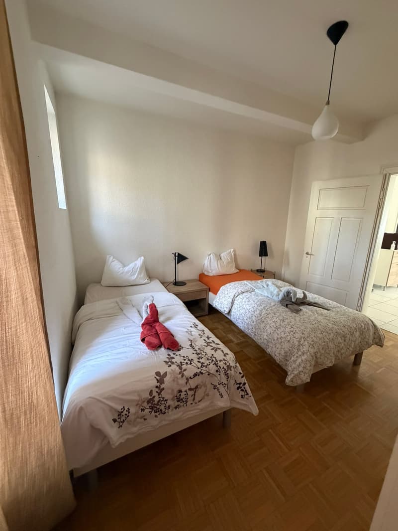 🏡 Modern 3.5-Room Furnished Apartment in Zürich Altstetten (near Zürich-Binz) (11)