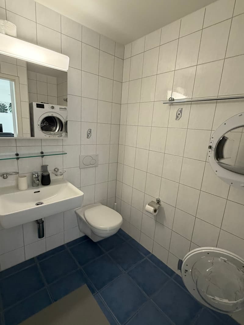 🏡 Modern 3.5-Room Furnished Apartment in Zürich Altstetten (near Zürich-Binz) (17)