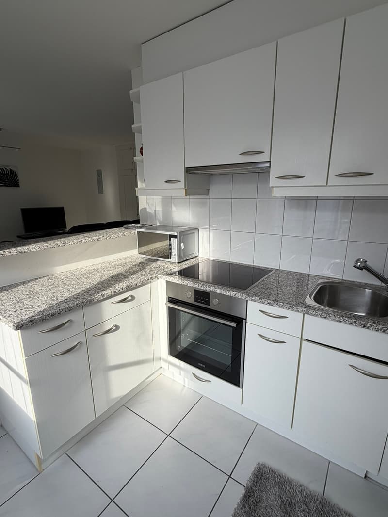 🏡 Modern 3.5-Room Furnished Apartment in Zürich Altstetten (near Zürich-Binz) (15)