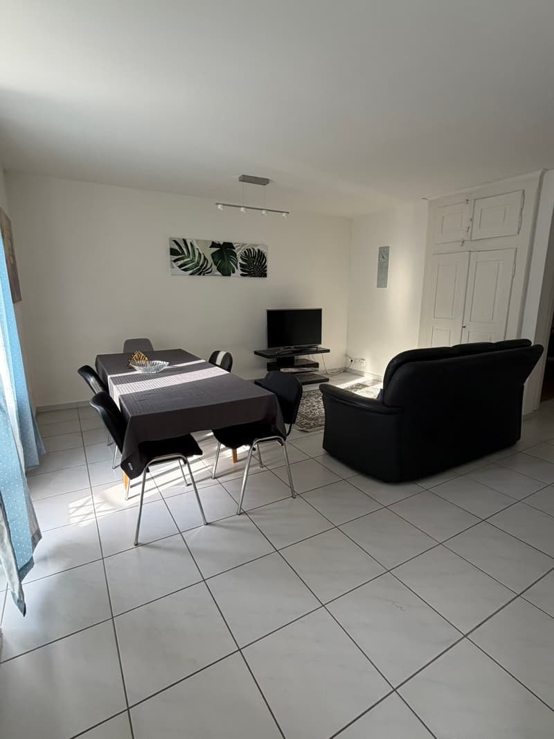 🏡 Modern 3.5-Room Furnished Apartment in Zürich Altstetten (near Zürich-Binz) (1)